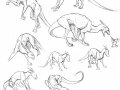 1361379027.dragonlovers_poses.jpg